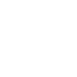 icon1